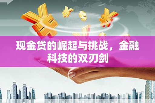 岱岳现金贷的崛起与挑战，金融科技的双刃剑