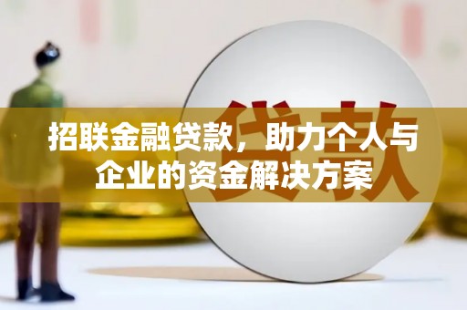 岱岳招联金融贷款，助力个人与企业的资金解决方案