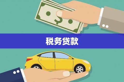 岱岳税务贷款