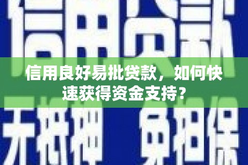 岱岳信用良好易批贷款，如何快速获得资金支持？