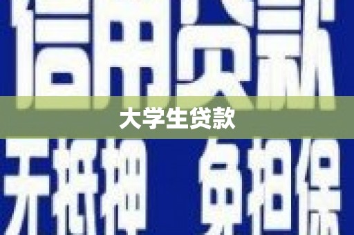 岱岳大学生贷款