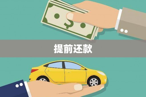 岱岳提前还款