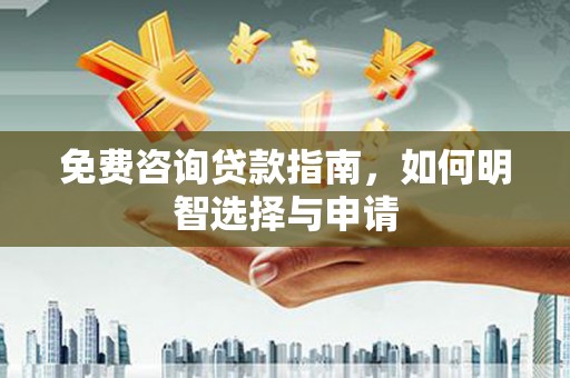 岱岳免费咨询贷款指南，如何明智选择与申请