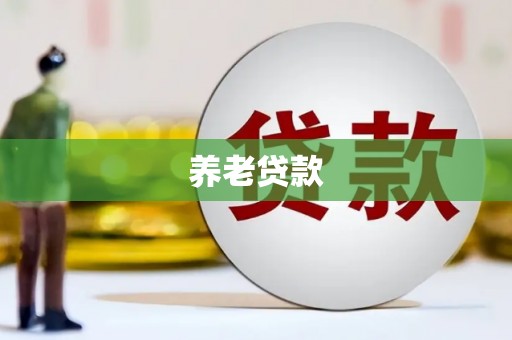 岱岳养老贷款