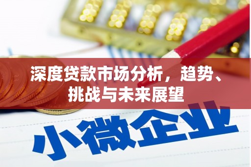 岱岳深度贷款市场分析，趋势、挑战与未来展望