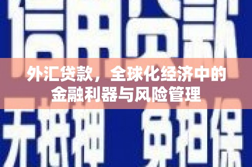 岱岳外汇贷款，全球化经济中的金融利器与风险管理
