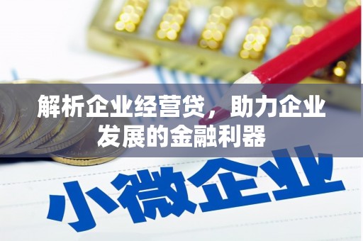岱岳解析企业经营贷，助力企业发展的金融利器