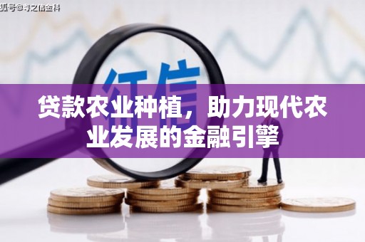 岱岳贷款农业种植，助力现代农业发展的金融引擎