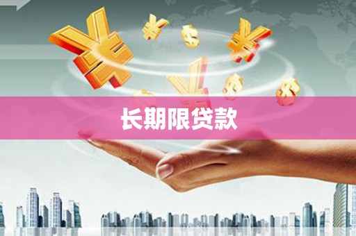 岱岳长期限贷款
