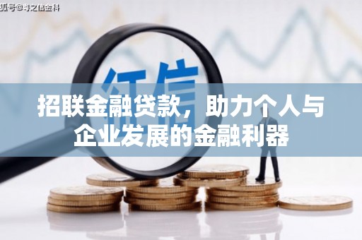 岱岳招联金融贷款，助力个人与企业发展的金融利器