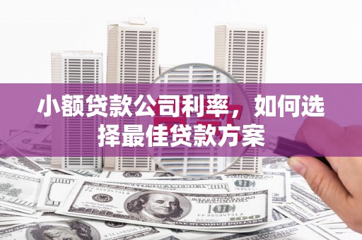 岱岳小额贷款公司利率，如何选择最佳贷款方案