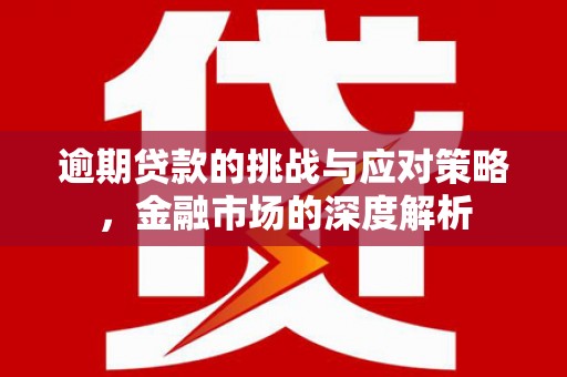 岱岳逾期贷款的挑战与应对策略，金融市场的深度解析