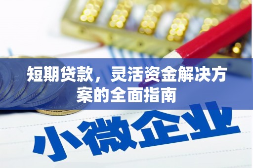 岱岳短期贷款，灵活资金解决方案的全面指南