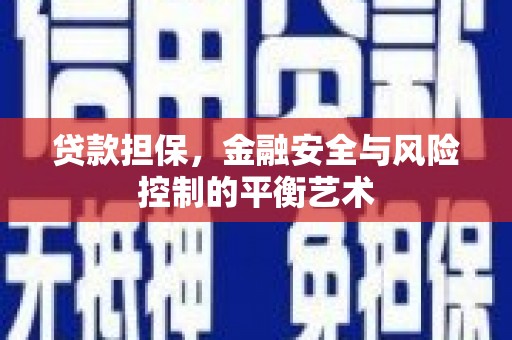 岱岳贷款担保，金融安全与风险控制的平衡艺术