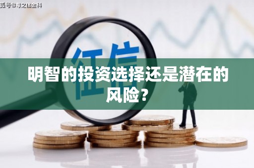 岱岳明智的投资选择还是潜在的风险？