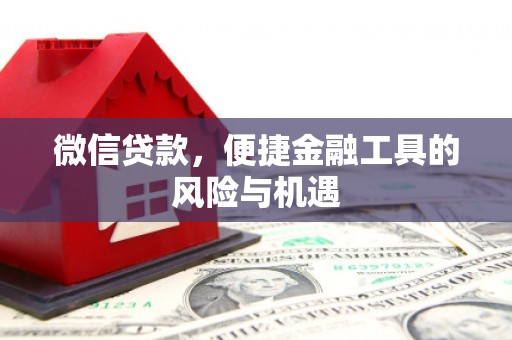 岱岳微信贷款，便捷金融工具的风险与机遇