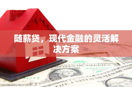岱岳随薪贷，现代金融的灵活解决方案