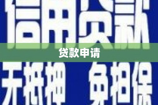 岱岳贷款申请
