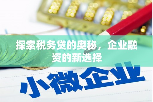 岱岳探索税务贷的奥秘，企业融资的新选择