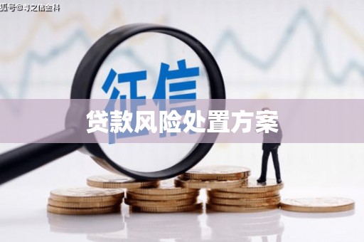 岱岳贷款风险处置方案