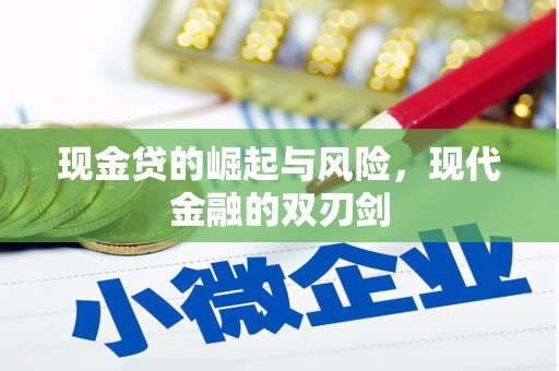 岱岳现金贷的崛起与风险，现代金融的双刃剑