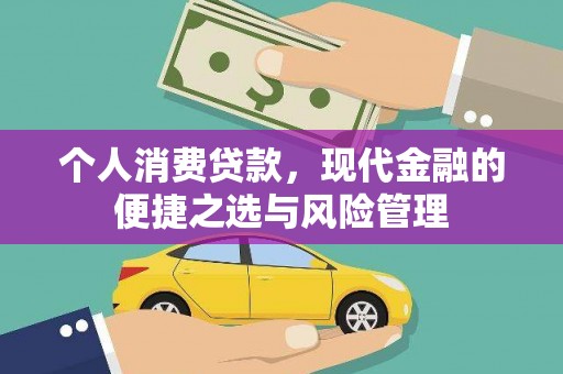 岱岳个人消费贷款，现代金融的便捷之选与风险管理