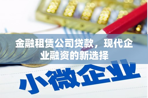 岱岳金融租赁公司贷款，现代企业融资的新选择