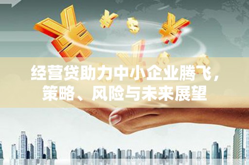 岱岳经营贷助力中小企业腾飞，策略、风险与未来展望