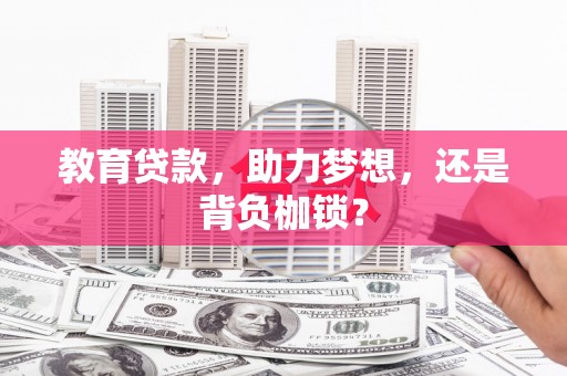 岱岳教育贷款，助力梦想，还是背负枷锁？