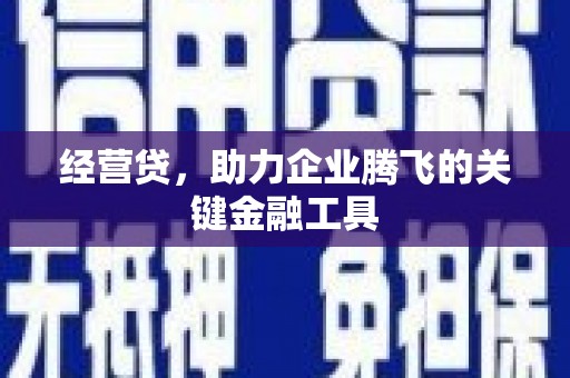 岱岳经营贷，助力企业腾飞的关键金融工具