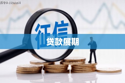 岱岳贷款展期