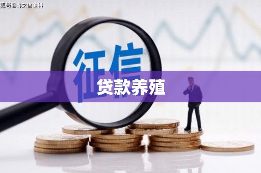 岱岳贷款养殖