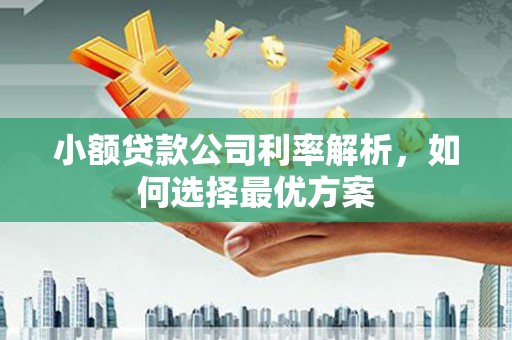 岱岳小额贷款公司利率解析，如何选择最优方案