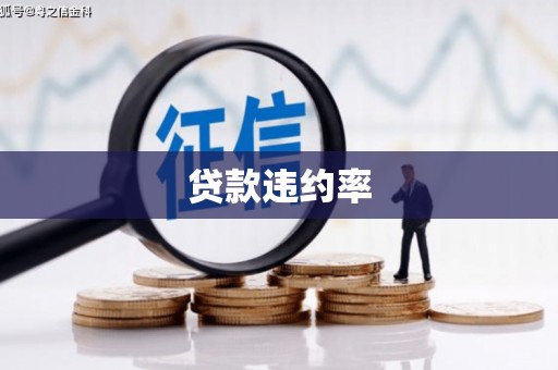 岱岳贷款违约率
