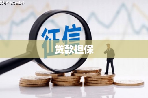 岱岳贷款担保