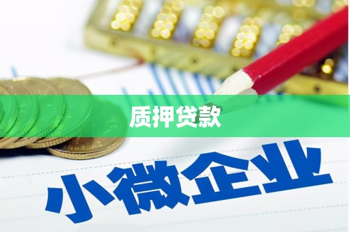 岱岳质押贷款