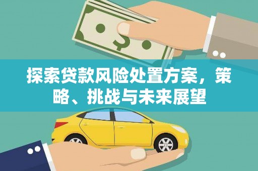 岱岳探索贷款风险处置方案，策略、挑战与未来展望
