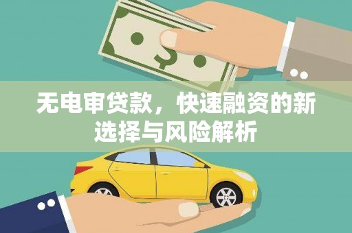 岱岳无电审贷款，快速融资的新选择与风险解析