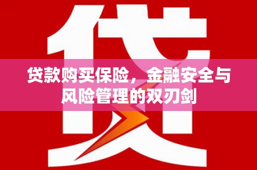 岱岳贷款购买保险，金融安全与风险管理的双刃剑
