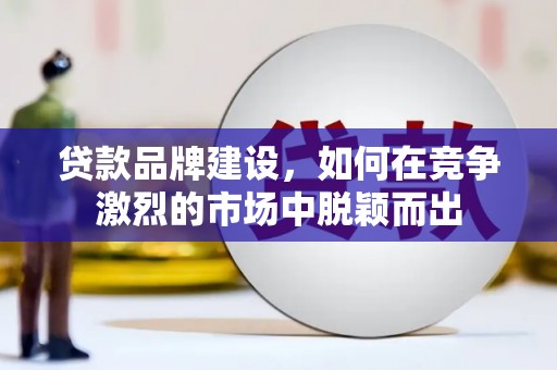 岱岳贷款品牌建设，如何在竞争激烈的市场中脱颖而出