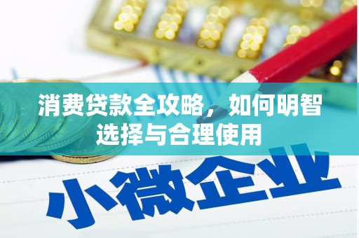 岱岳消费贷款全攻略，如何明智选择与合理使用