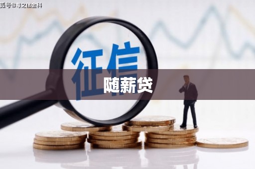 岱岳随薪贷