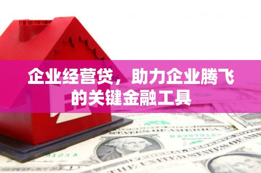 岱岳企业经营贷，助力企业腾飞的关键金融工具