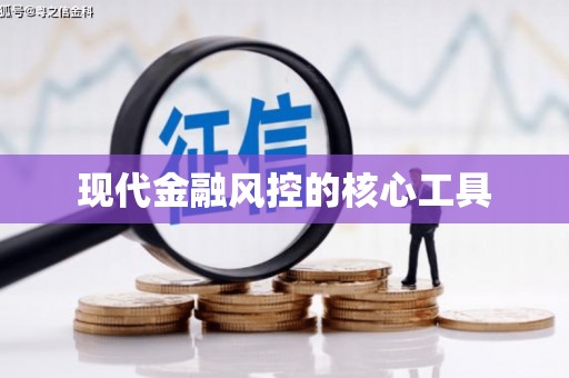 岱岳现代金融风控的核心工具