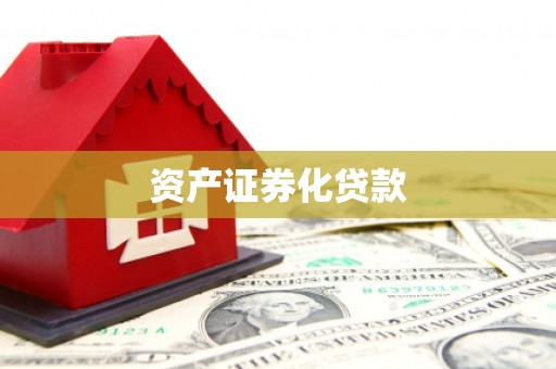 岱岳资产证券化贷款