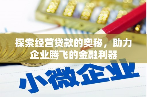 岱岳探索经营贷款的奥秘，助力企业腾飞的金融利器