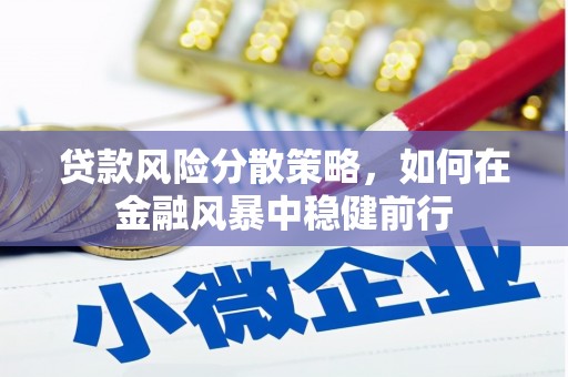岱岳贷款风险分散策略，如何在金融风暴中稳健前行