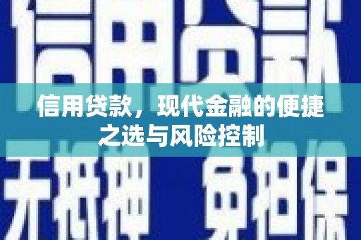 岱岳信用贷款，现代金融的便捷之选与风险控制