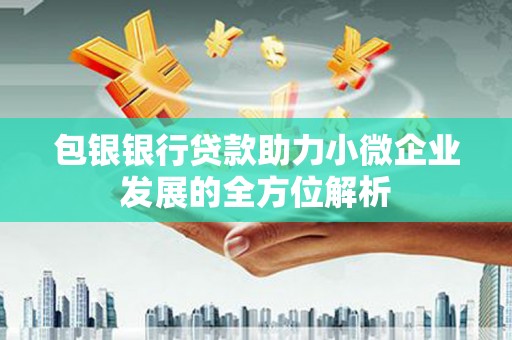 岱岳包银银行贷款助力小微企业发展的全方位解析 岱岳包银银行贷款助力小微企业发展的全方位解析
