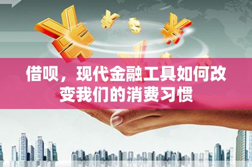 岱岳借呗，现代金融工具如何改变我们的消费习惯